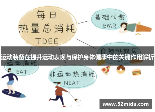 运动装备在提升运动表现与保护身体健康中的关键作用解析