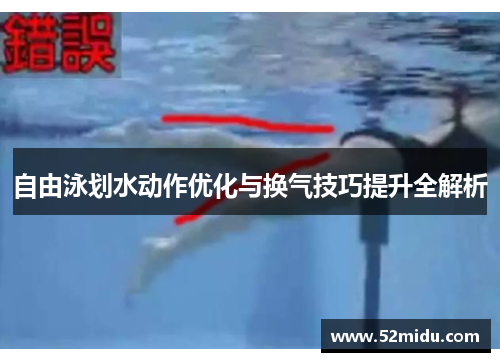 自由泳划水动作优化与换气技巧提升全解析