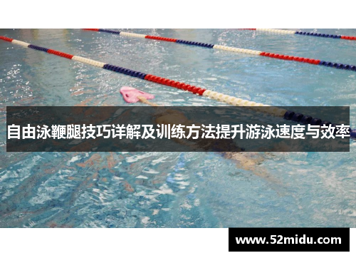 自由泳鞭腿技巧详解及训练方法提升游泳速度与效率