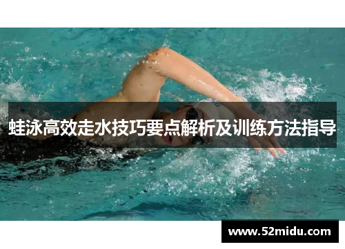 蛙泳高效走水技巧要点解析及训练方法指导