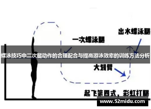 蝶泳技巧中二次腿动作的合理配合与提高游泳效率的训练方法分析