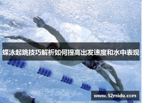 蝶泳起跳技巧解析如何提高出发速度和水中表现