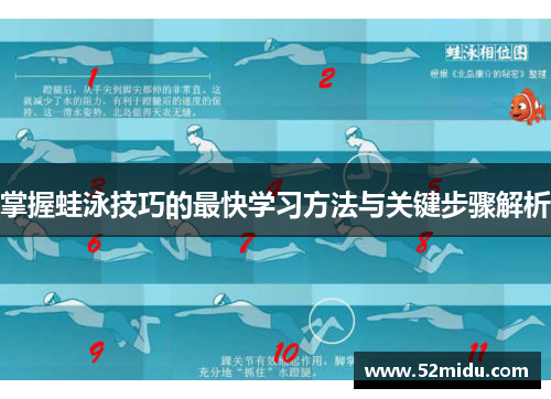 掌握蛙泳技巧的最快学习方法与关键步骤解析