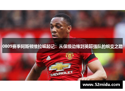 0809赛季阿斯顿维拉崛起记：从保级边缘到英超强队的蜕变之路