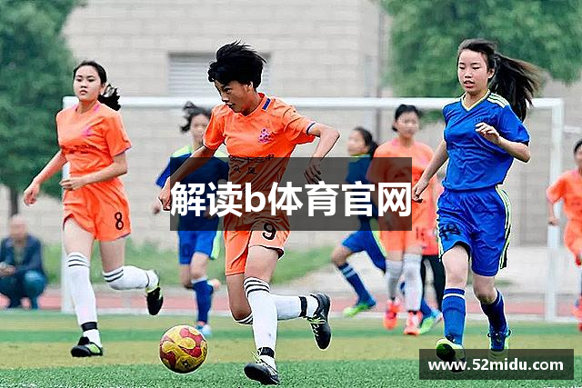 解读b体育官网